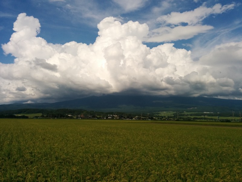 f:id:k-surf:20140829145926j:image f:id:k-surf:20140829145926j:image