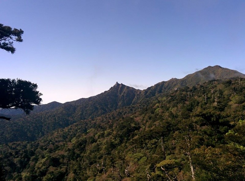 f:id:k-surf:20150506175943j:image:w500