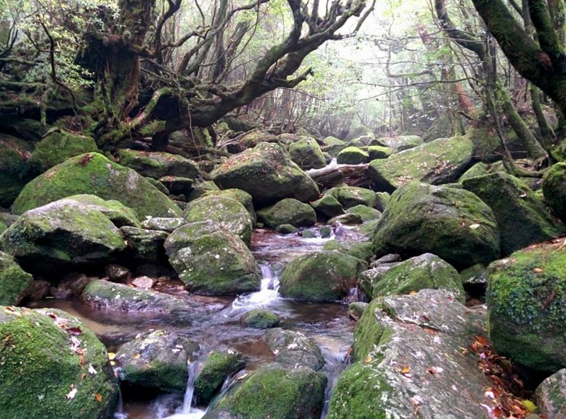 f:id:k-surf:20150506180104j:image:w500