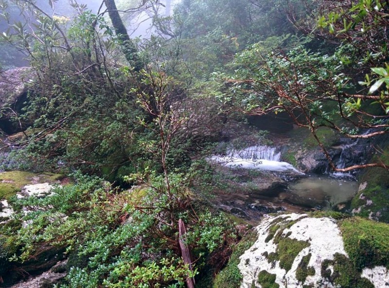 f:id:k-surf:20150512063231j:image:w500