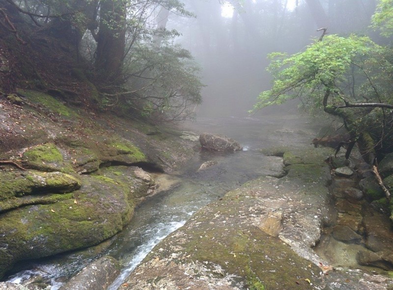 f:id:k-surf:20150512063233j:image:w500