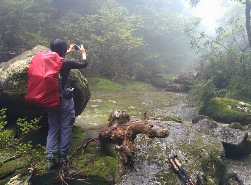 f:id:k-surf:20150512063235j:image:w500