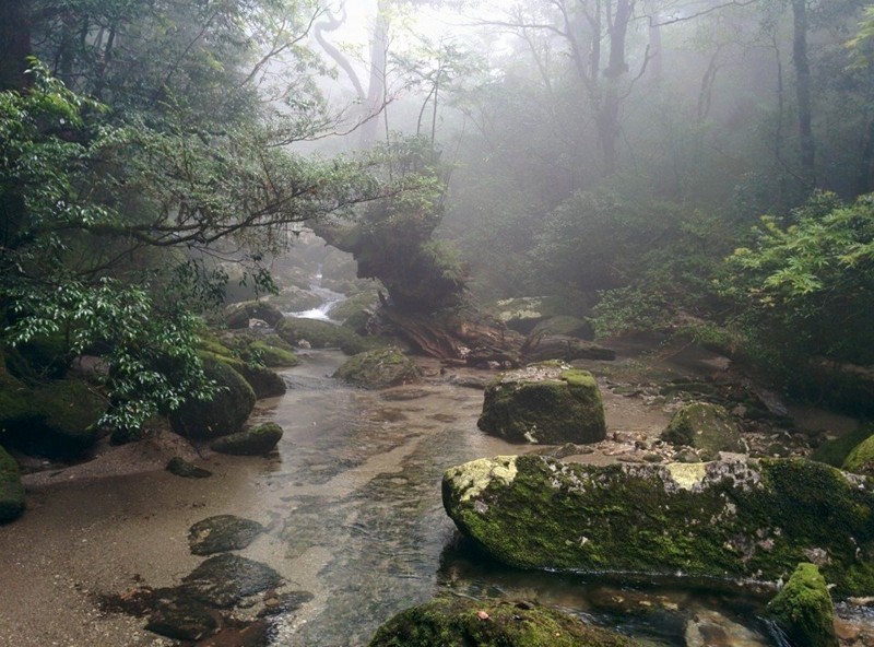 f:id:k-surf:20150512063237j:image:w500