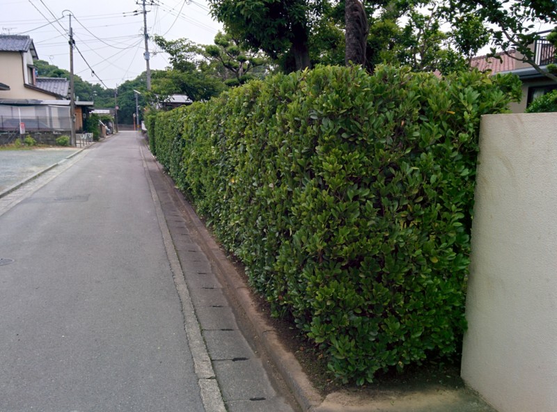 f:id:k-surf:20150617132142j:image