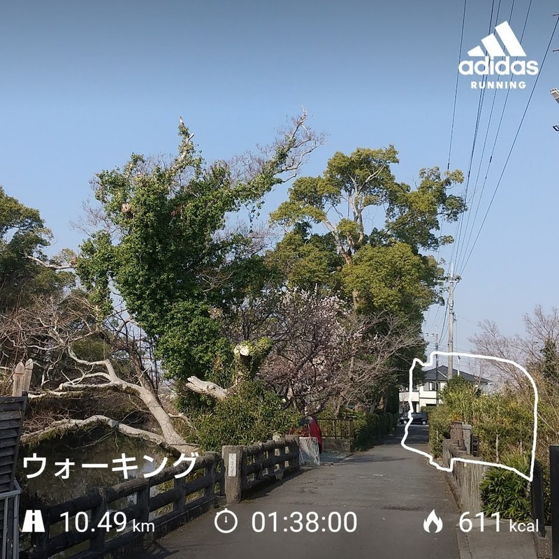 f:id:k-surf:20220309143547j:plain