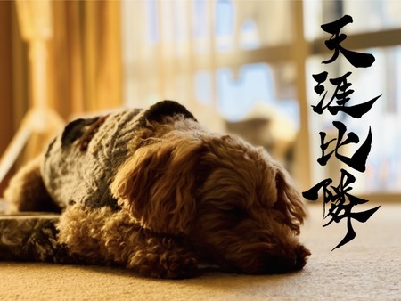 f:id:k-syodou:20210220030711j:plain