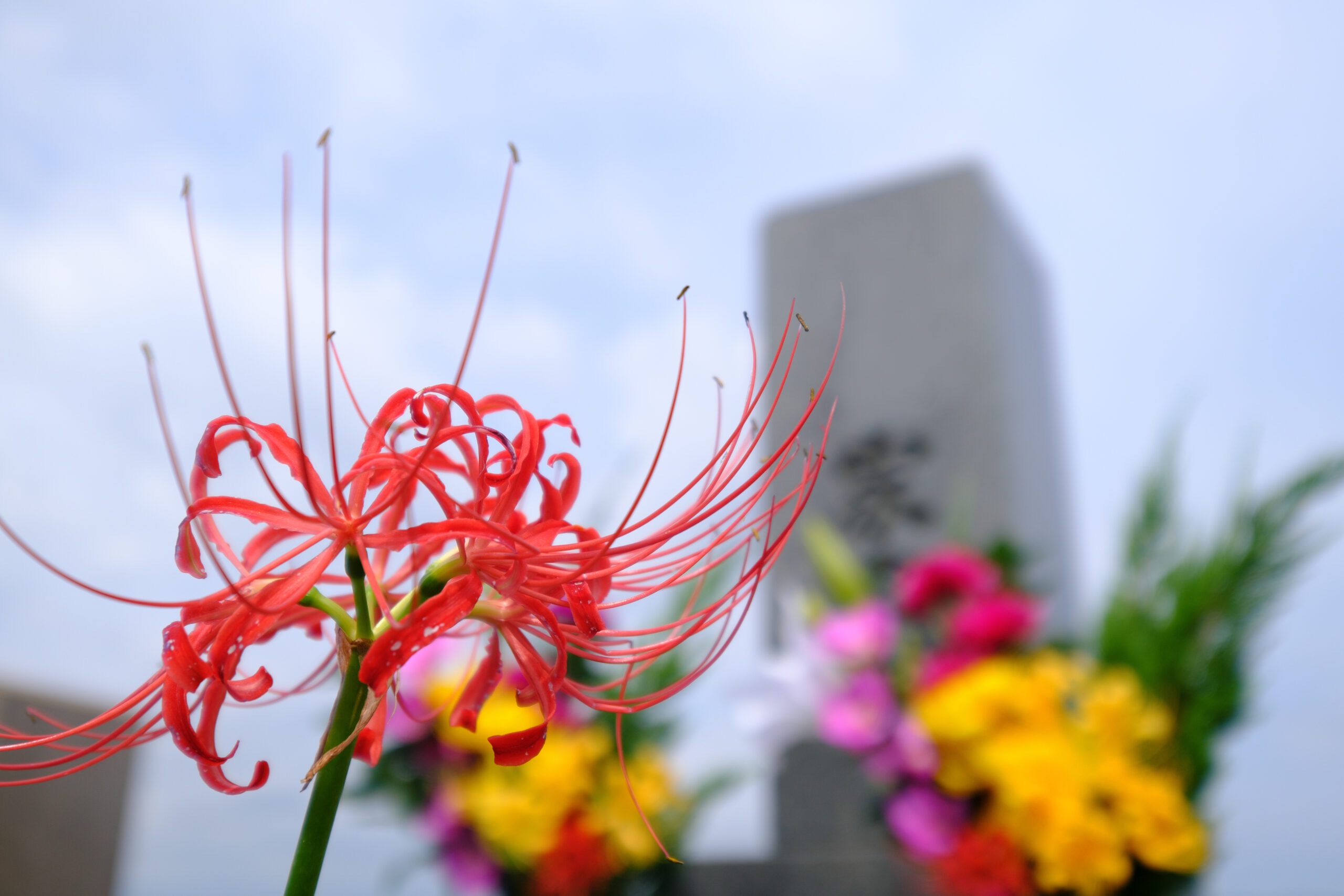 f:id:k-syukatsu:20260907123244j:image f:id:k-syukatsu:20260907123244j:image