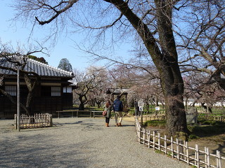 f:id:k-takahashi:20160227131832j:image