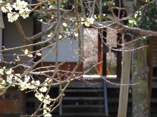 f:id:k-takahashi:20160227132142j:image