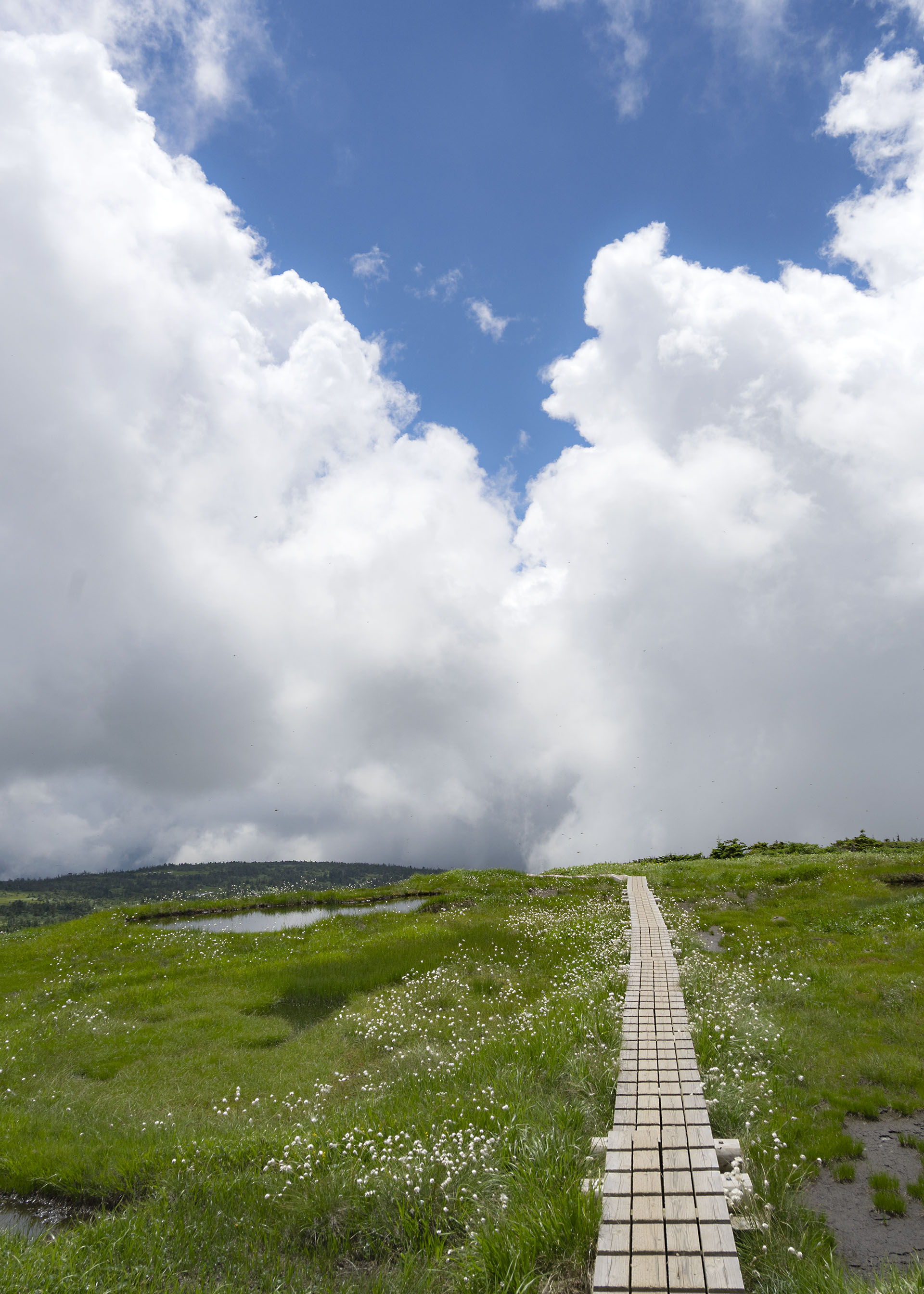 苗場山 - Infinity