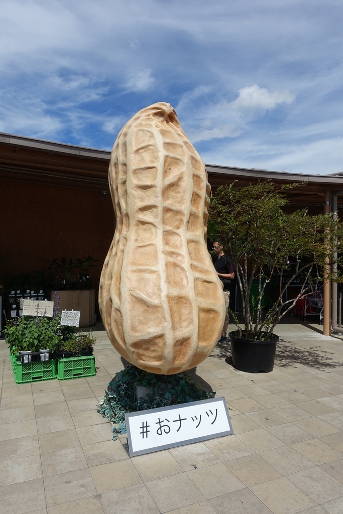 f:id:k-tetu:20180912114306j:plain f:id:k-tetu:20180912114306j:plain