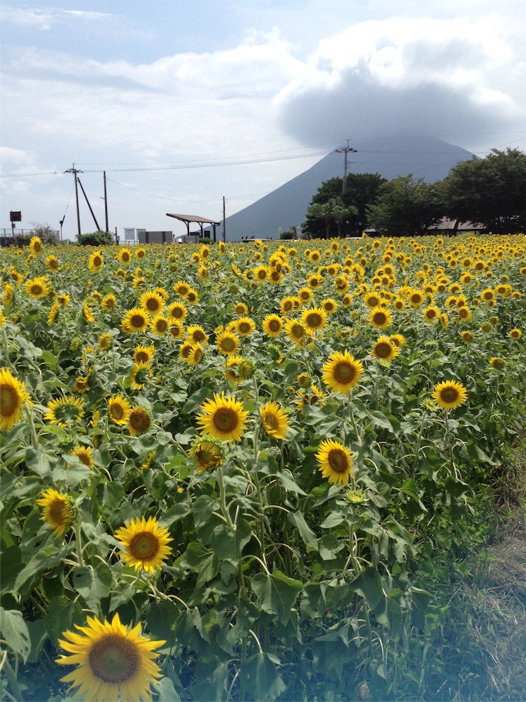 f:id:k-yamamoto626:20160926204351j:image f:id:k-yamamoto626:20160926204351j:image