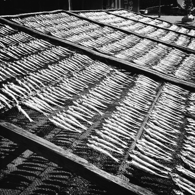 f:id:k-yoshikawa39:20180813105017j:image f:id:k-yoshikawa39:20180813105017j:image