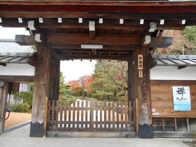 f:id:k-yoshiko:20161129223818j:plain f:id:k-yoshiko:20161129223818j:plain