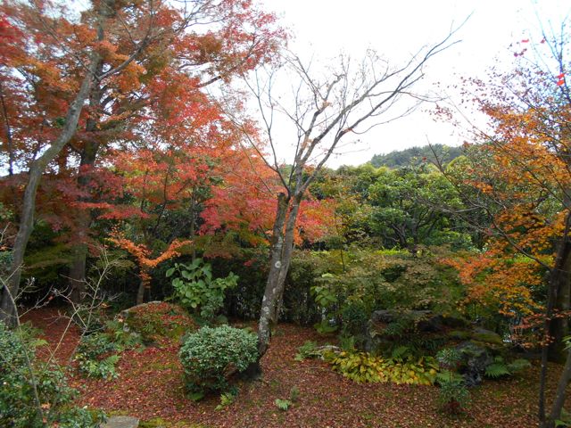f:id:k-yoshiko:20161129224620j:plain f:id:k-yoshiko:20161129224620j:plain