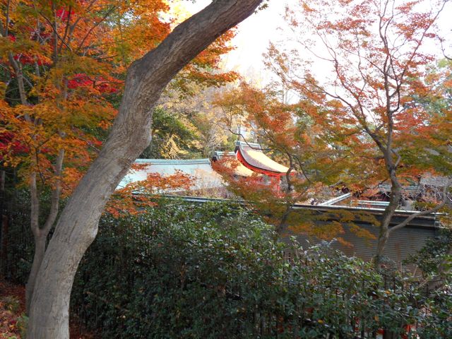 f:id:k-yoshiko:20161130112900j:plain f:id:k-yoshiko:20161130112900j:plain