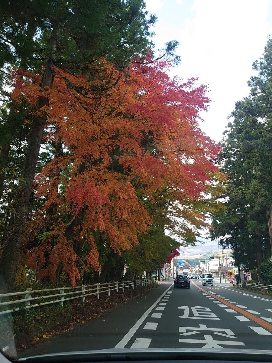 f:id:k0013293:20201112165336j:plain