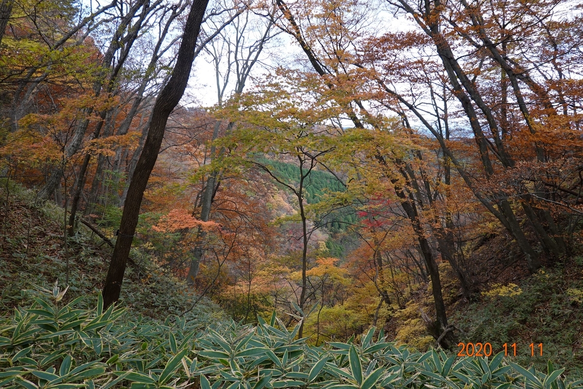 f:id:k0013293:20201112170640j:plain