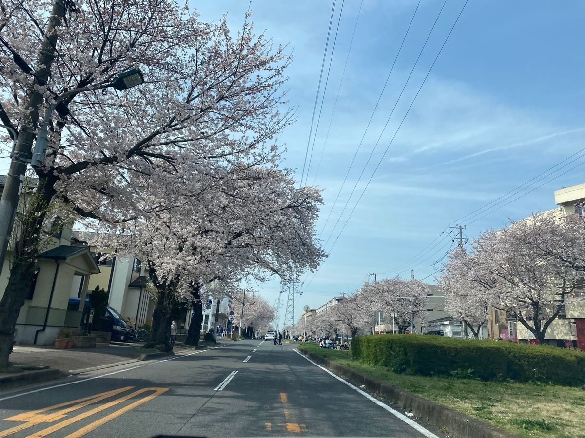 ｐｏｌｏで家族ドライブ 成田山公園で桜見物 シニアライダーの日常 ｒ１２００ｒと共に