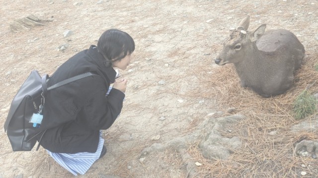 f:id:k0631km182:20231126130737j:image