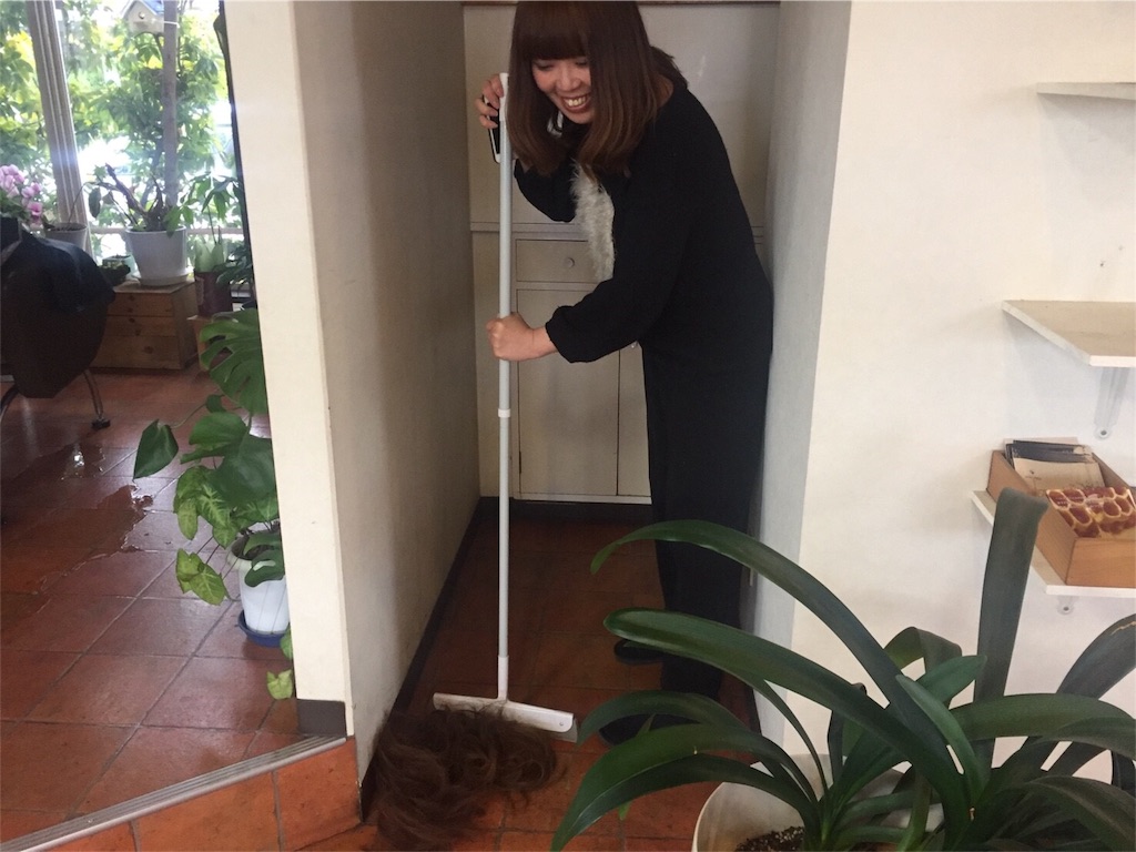 f:id:k0a2k1a8:20170209170034j:image