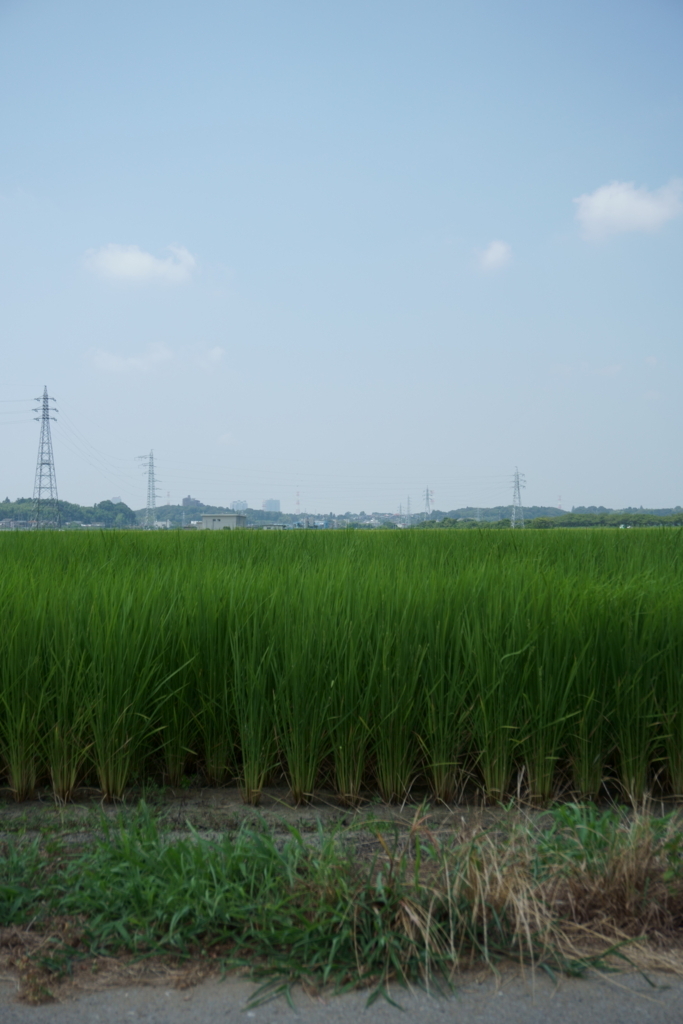 f:id:k0bakatsu:20180806233216j:plain f:id:k0bakatsu:20180806233216j:plain