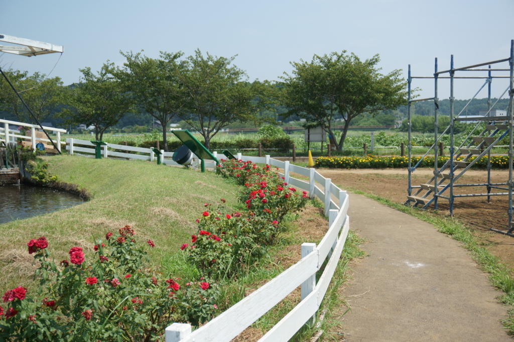 f:id:k0bakatsu:20180806233240j:plain f:id:k0bakatsu:20180806233240j:plain