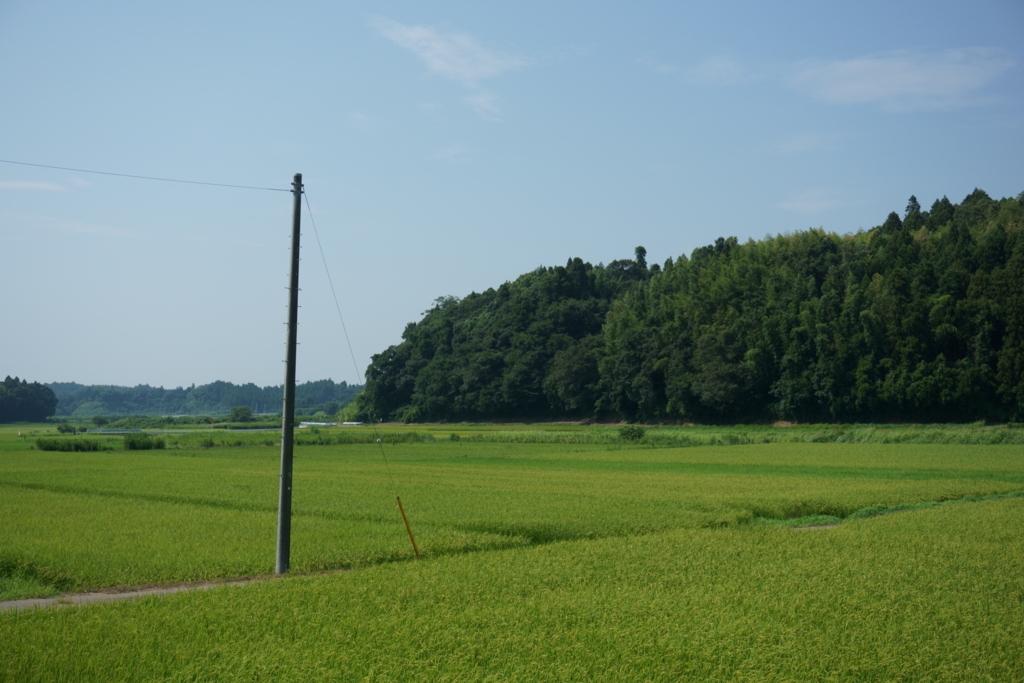f:id:k0bakatsu:20180806235654j:plain f:id:k0bakatsu:20180806235654j:plain