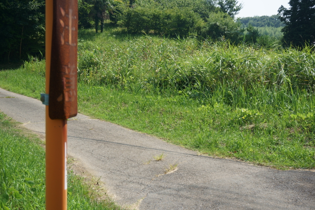 f:id:k0bakatsu:20180806235730j:plain f:id:k0bakatsu:20180806235730j:plain