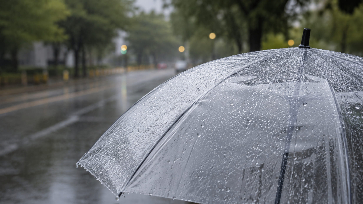 降水量3mmの雨で傘が必要か迷う雨の日のイメージ