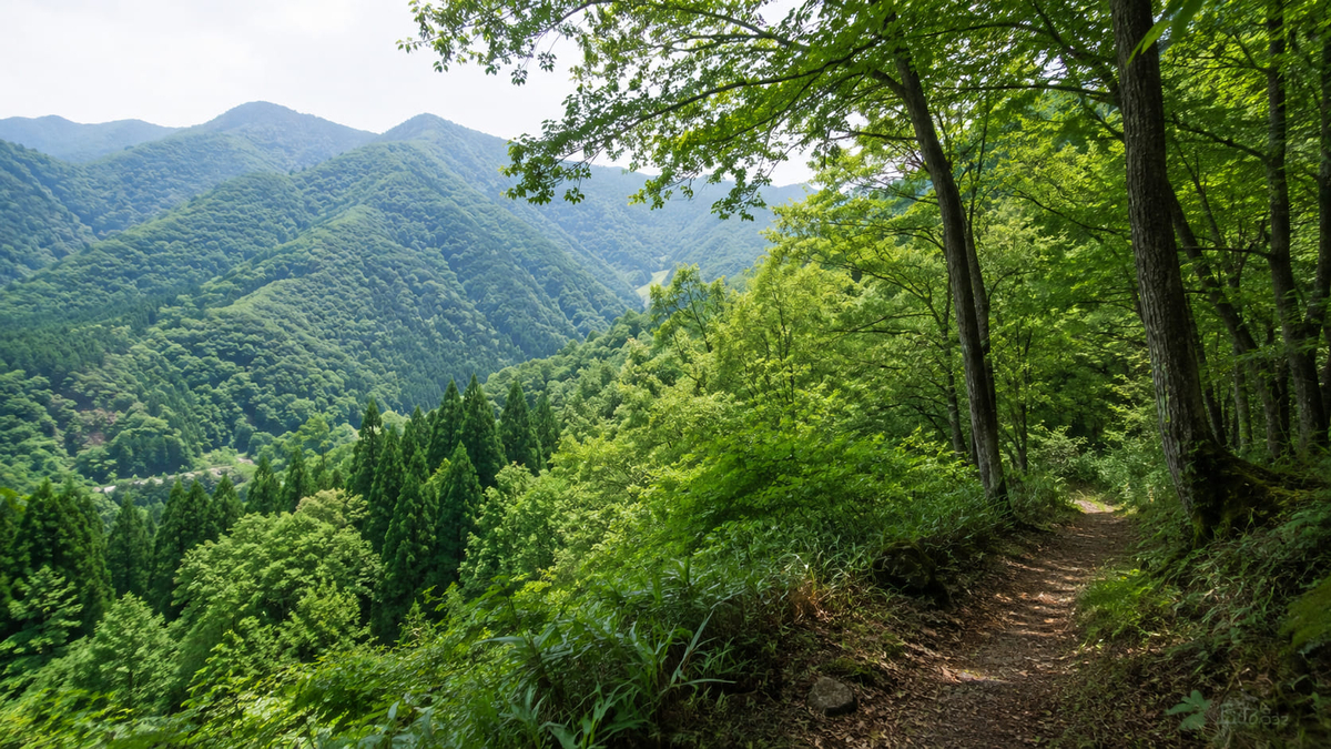 熊肉の別名や山くじらとの関係をイメージした山と森の風景