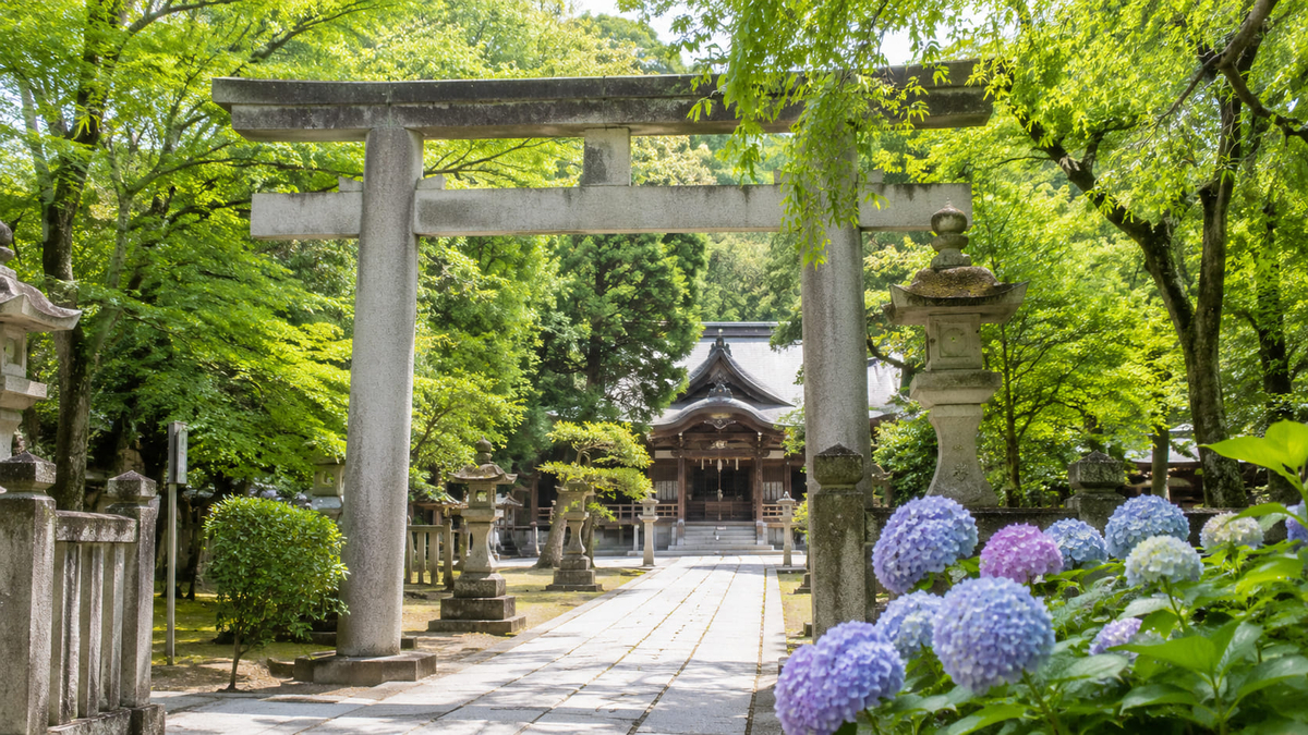 文京あじさいまつりをイメージした神社の参道と色とりどりのあじさい