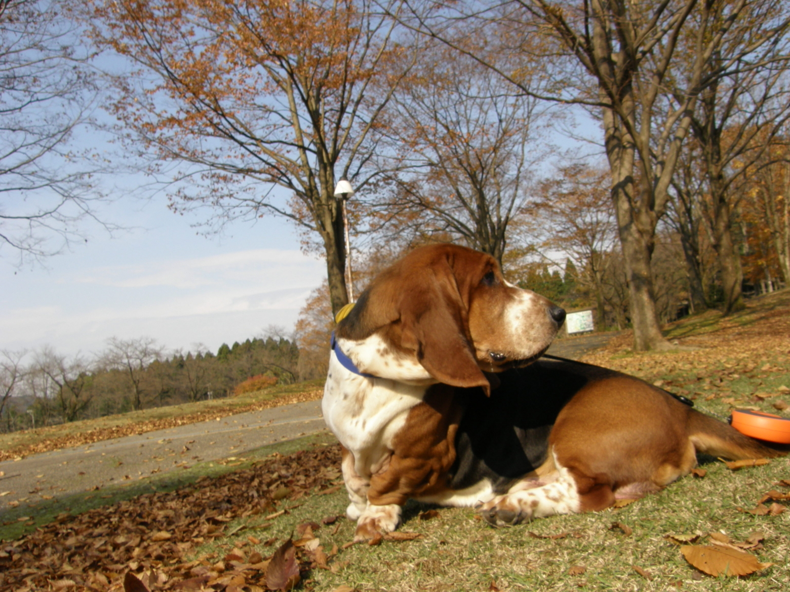 f:id:k10no3:20071124114348j:image:w640