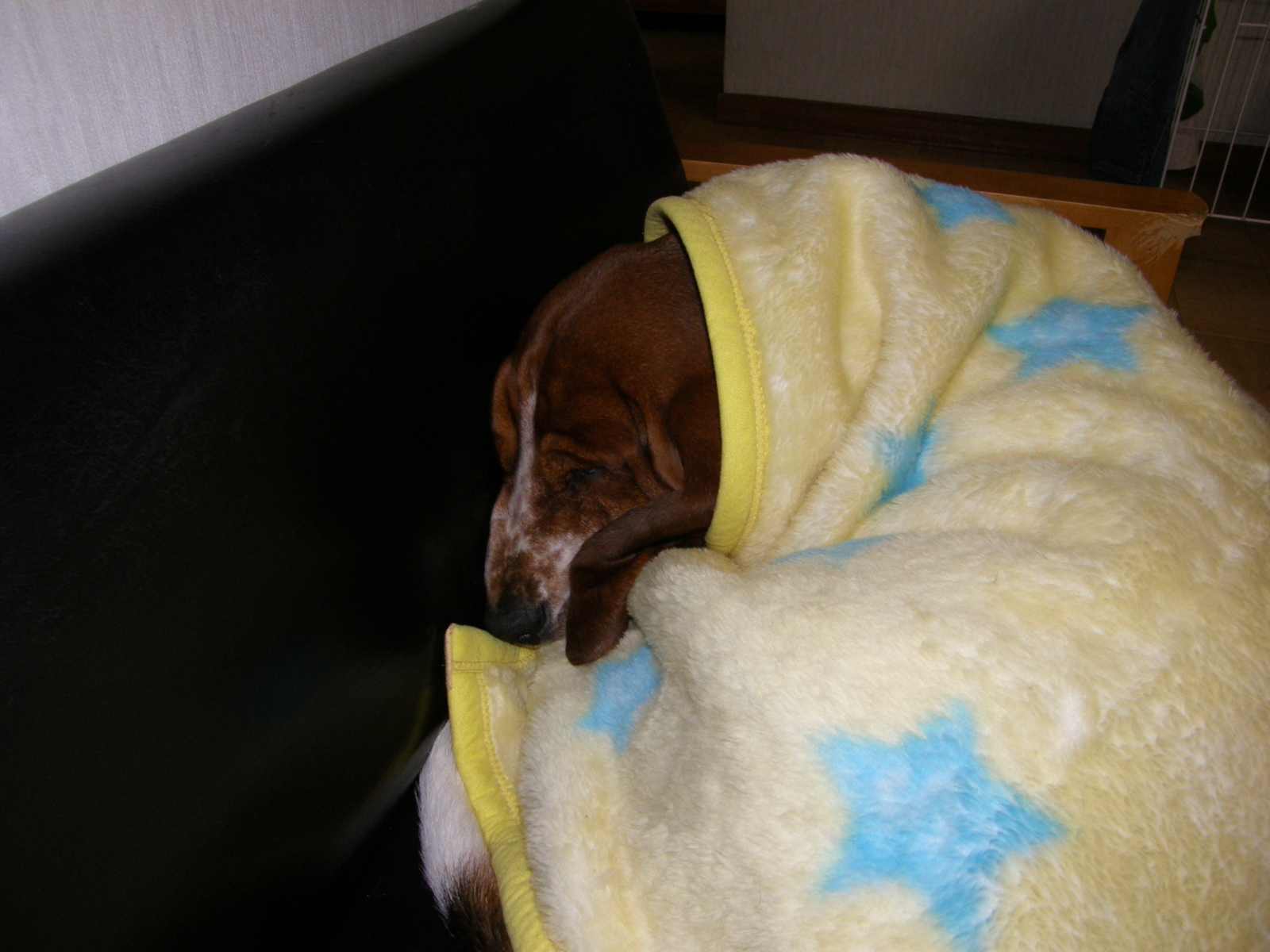 f:id:k10no3:20071221220207j:image:w640