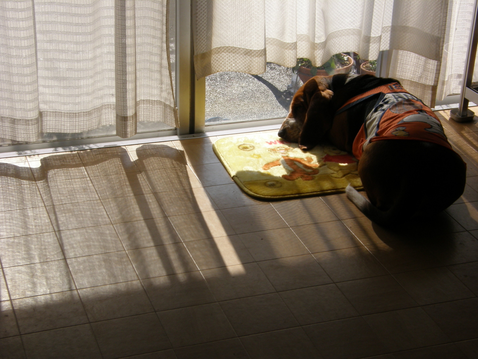 f:id:k10no3:20080207124746j:image:w520 f:id:k10no3:20080207124746j:image:w520