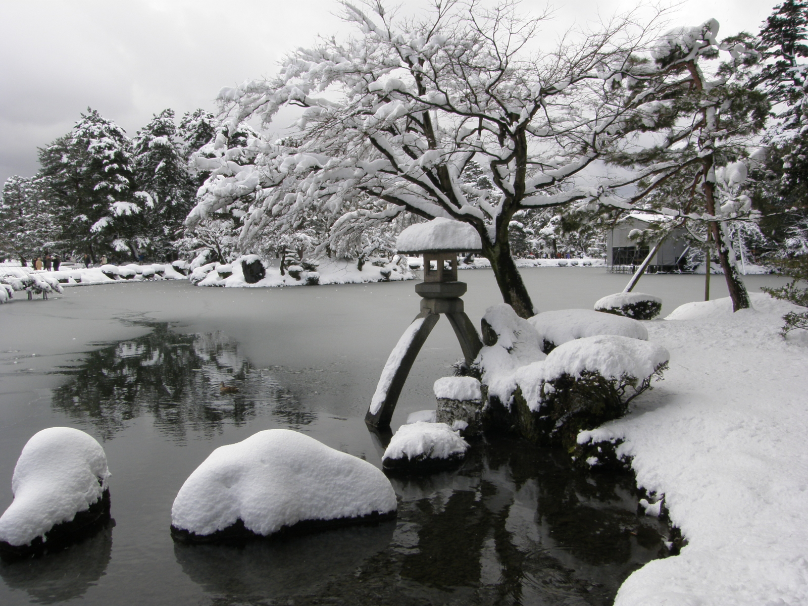 f:id:k10no3:20080217113029j:image:w640 f:id:k10no3:20080217113029j:image:w640
