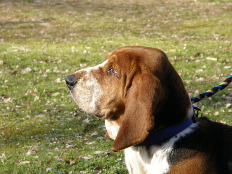 f:id:k10no3:20080315160332j:image:w520 f:id:k10no3:20080315160332j:image:w520