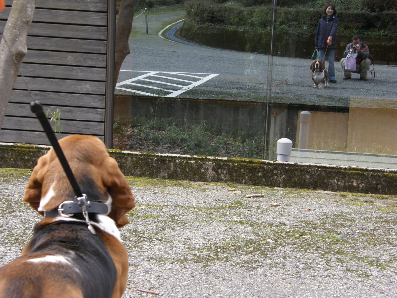 f:id:k10no3:20080316114438j:image:w640 f:id:k10no3:20080316114438j:image:w640
