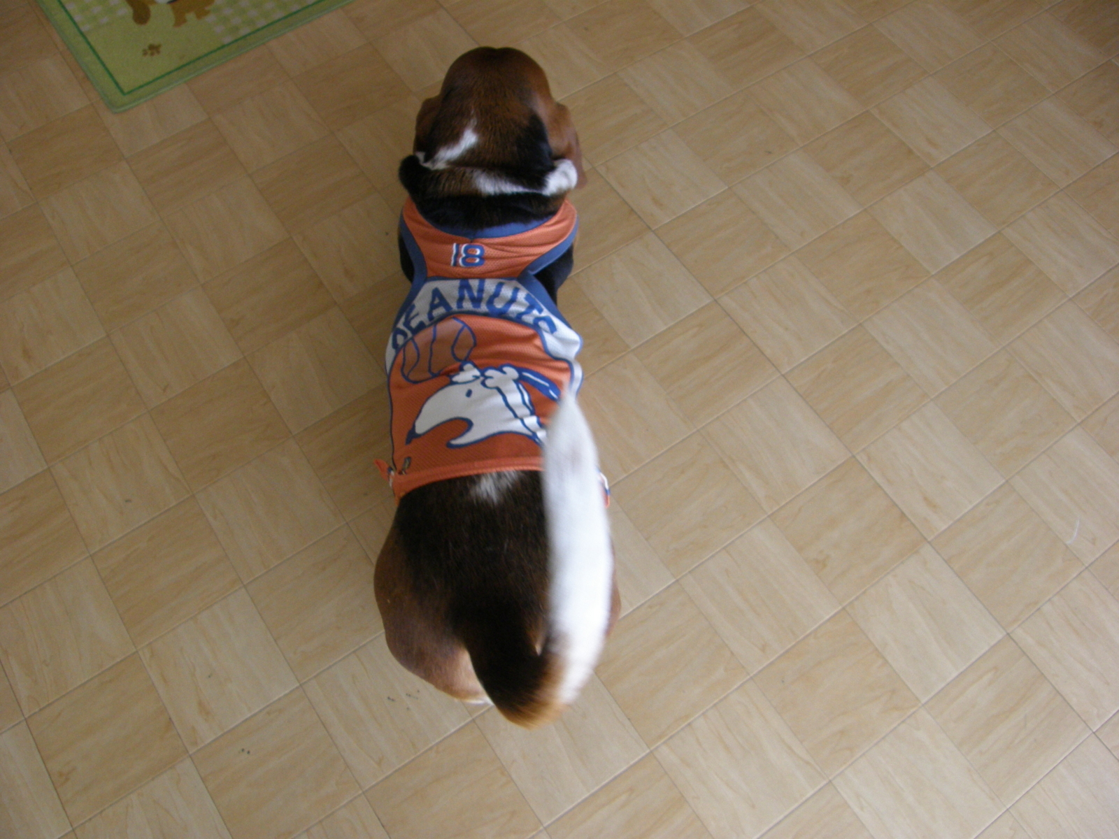 f:id:k10no3:20080506095407j:image:w640