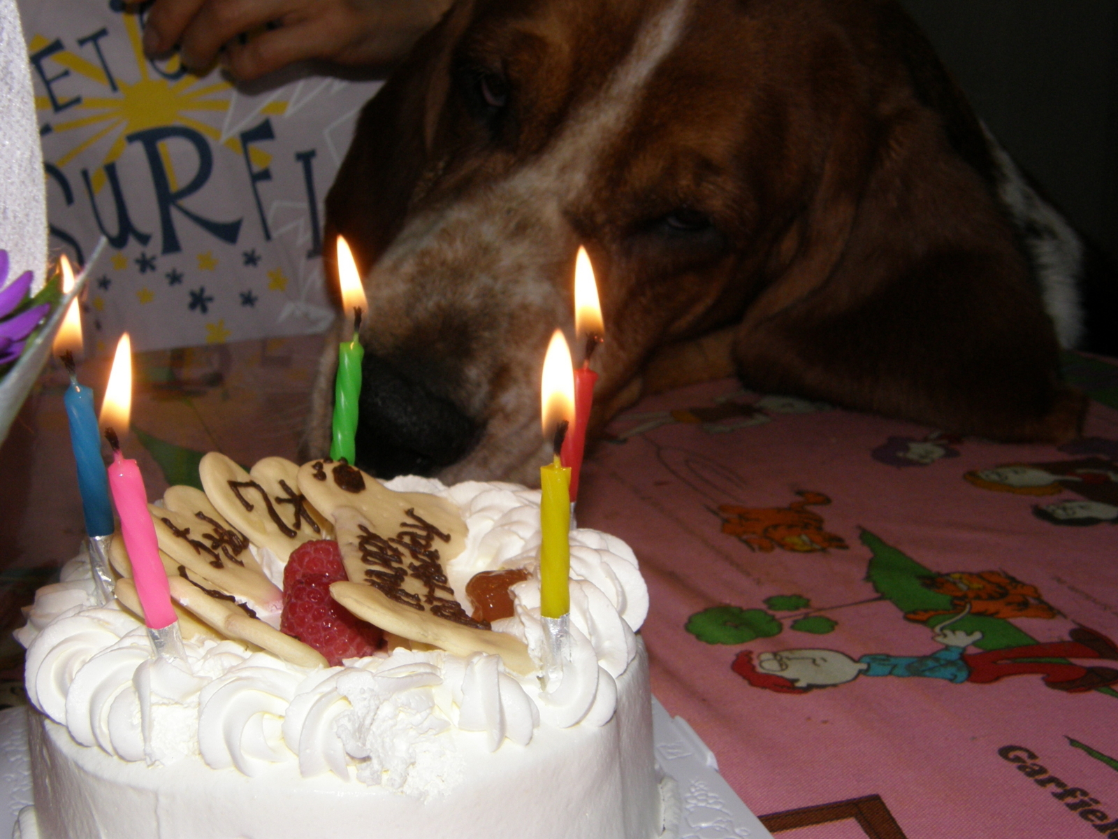 f:id:k10no3:20080708203435j:image:w640