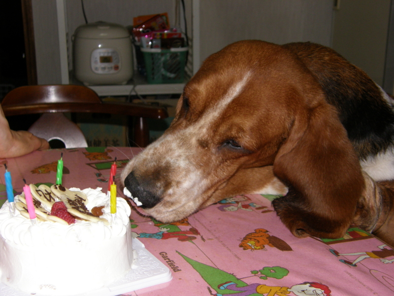 f:id:k10no3:20080708203524j:image:w560 f:id:k10no3:20080708203524j:image:w560