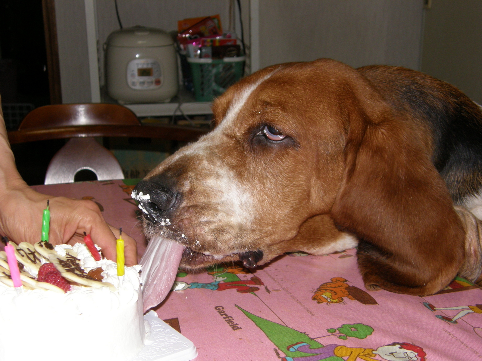 f:id:k10no3:20080708203528j:image:w640