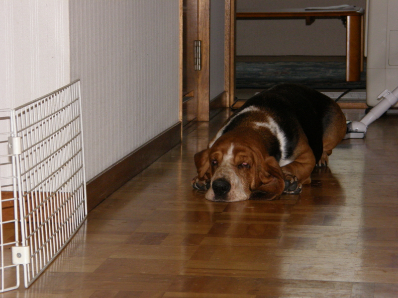 f:id:k10no3:20080721171338j:image:w279 f:id:k10no3:20080721171338j:image:w279