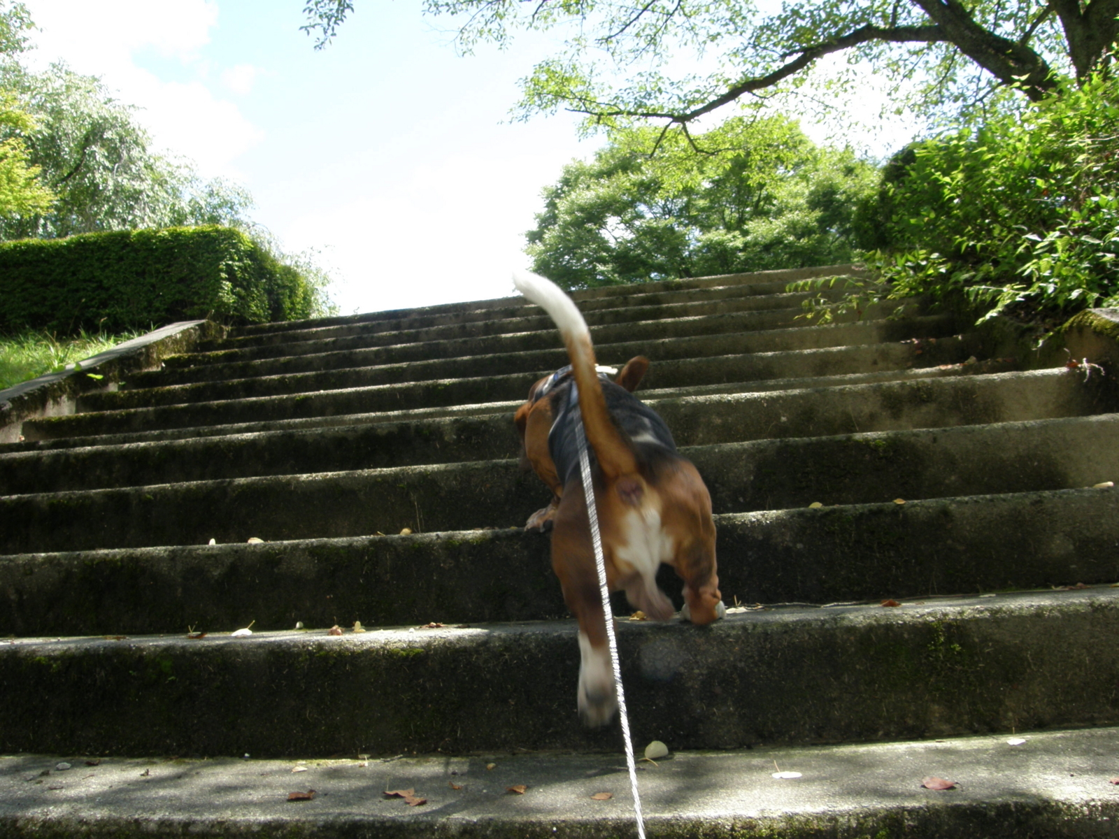 f:id:k10no3:20080817114230j:image:w640