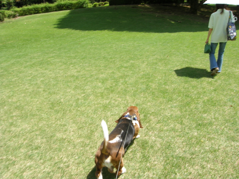 f:id:k10no3:20080817114312j:image:w560 f:id:k10no3:20080817114312j:image:w560