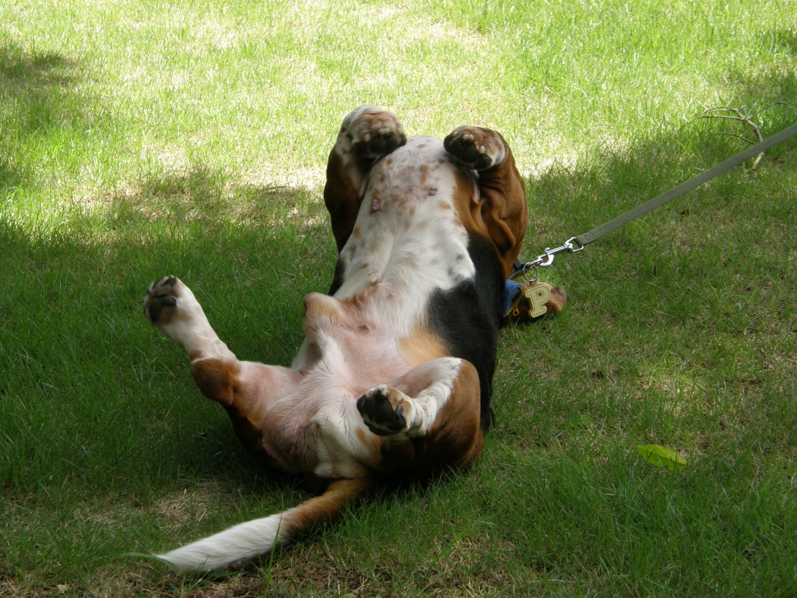 f:id:k10no3:20080817120325j:image:w640 f:id:k10no3:20080817120325j:image:w640