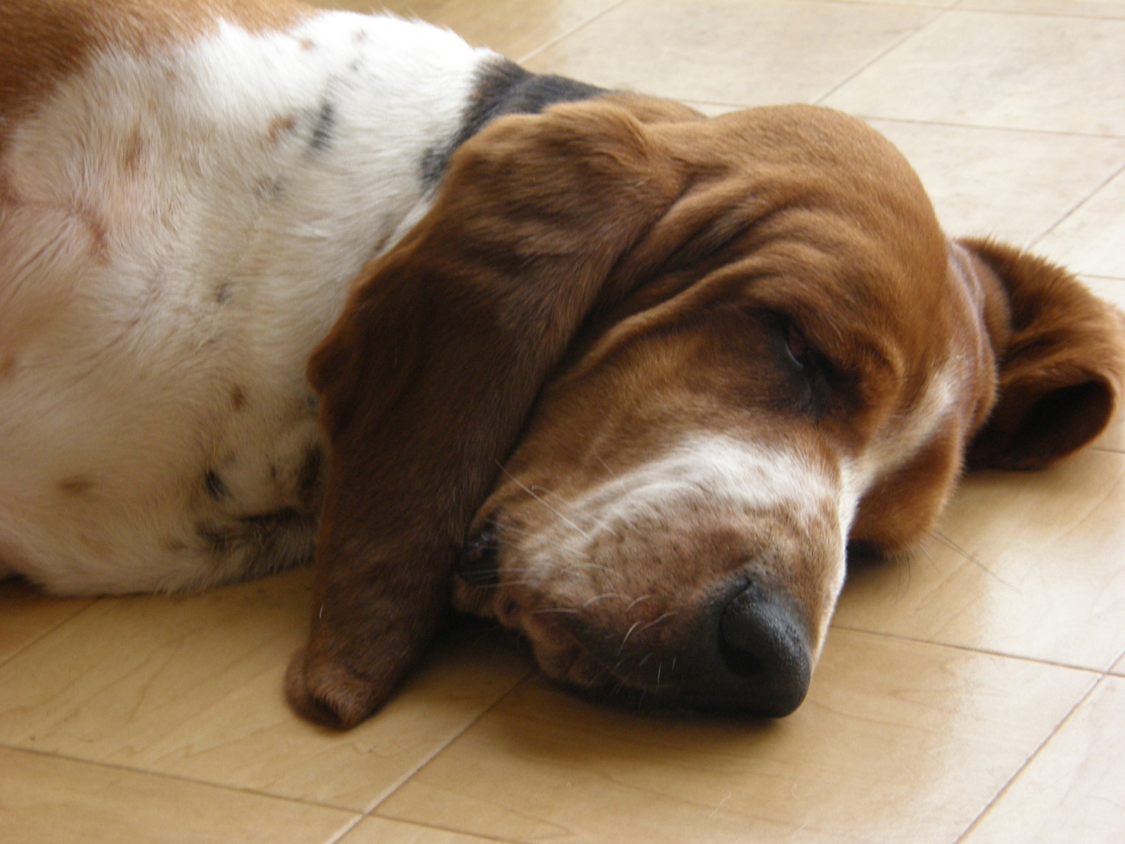 f:id:k10no3:20080830113840j:image:w640