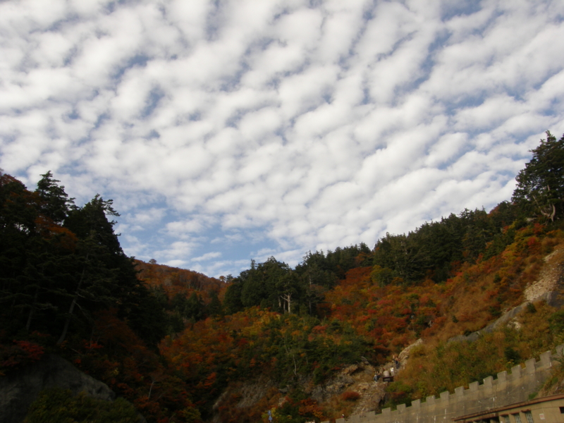 f:id:k10no3:20081012154405j:image:w560 f:id:k10no3:20081012154405j:image:w560