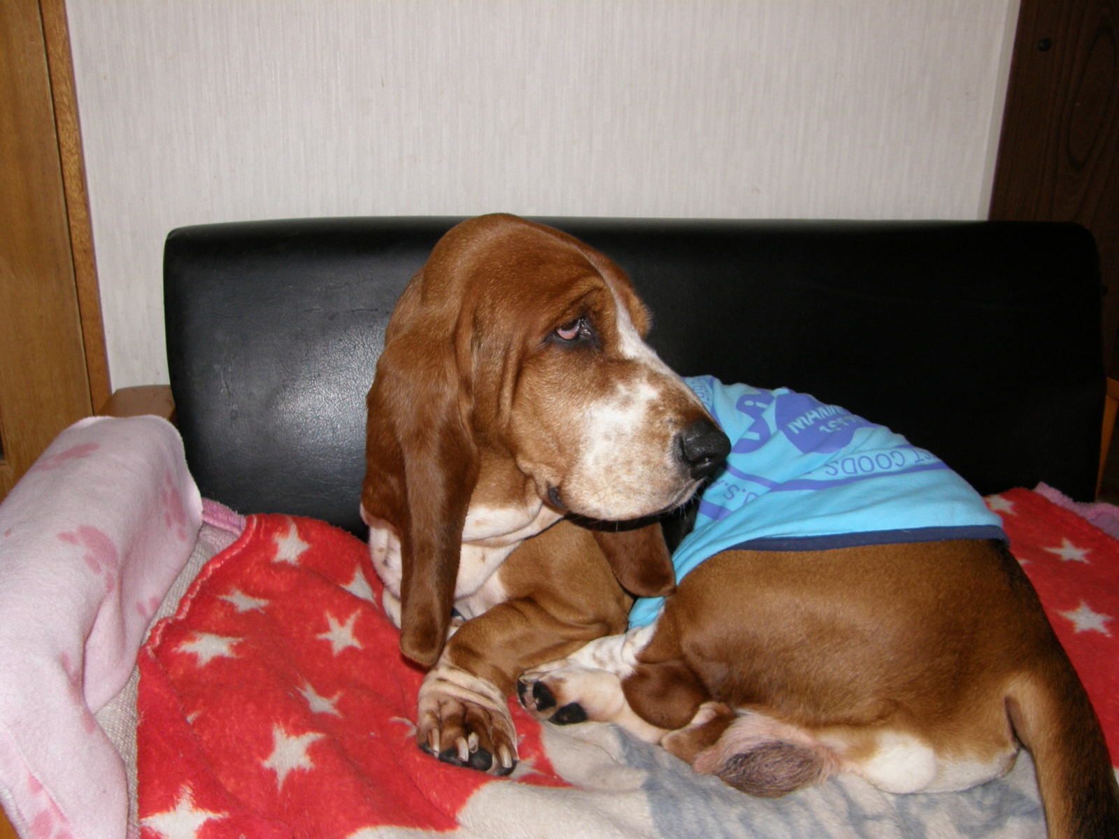 f:id:k10no3:20090102162024j:image:w128 f:id:k10no3:20090102162024j:image:w128