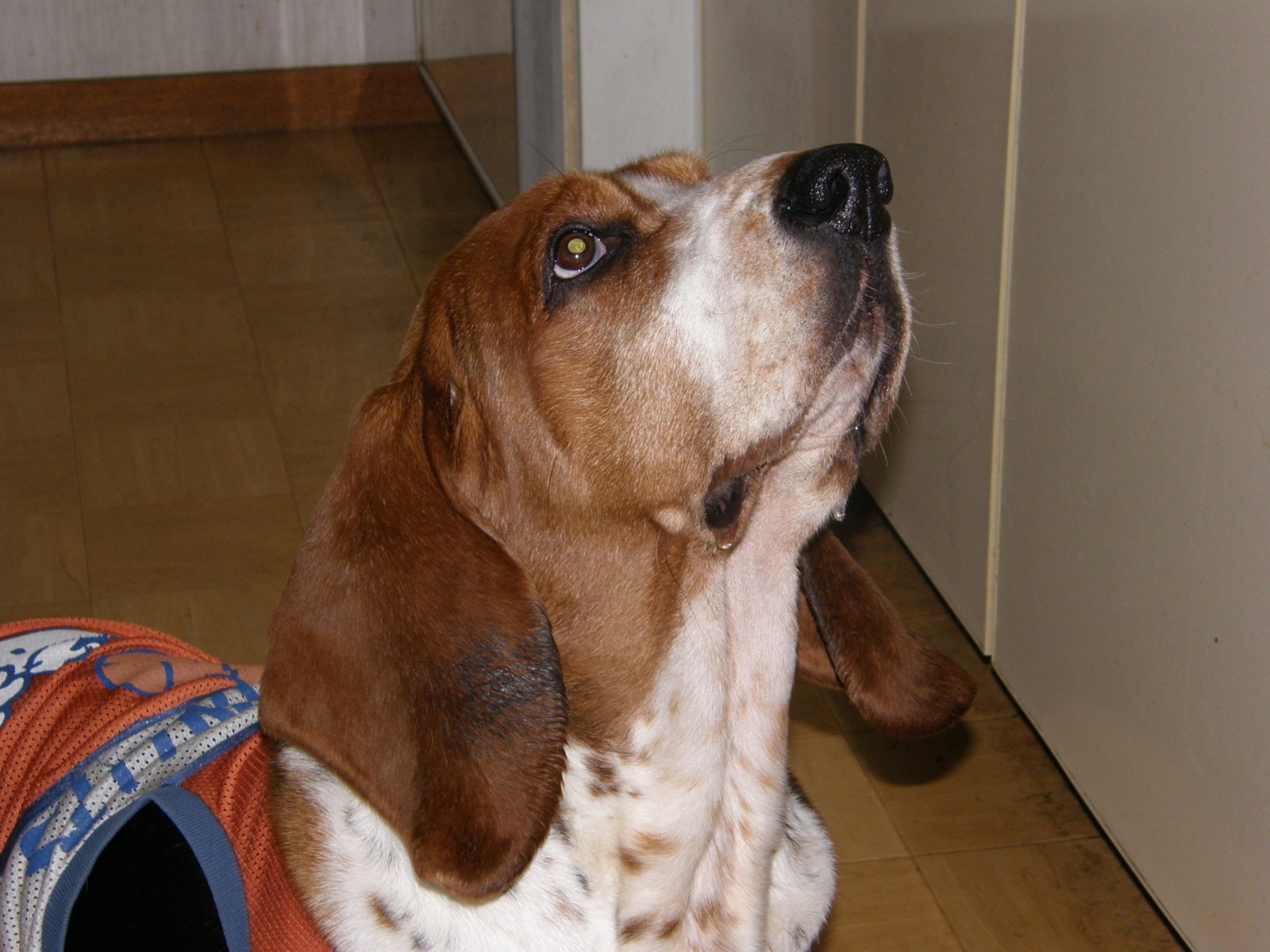 f:id:k10no3:20090119202935j:image:w318